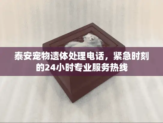 泰安宠物遗体处理电话，紧急时刻的24小时专业服务热线