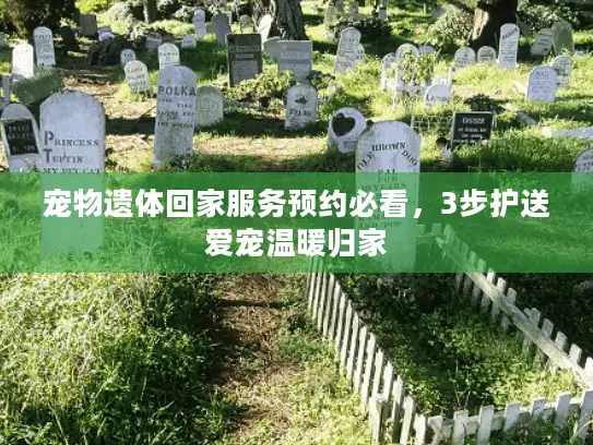 宠物遗体回家服务预约必看，3步护送爱宠温暖归家