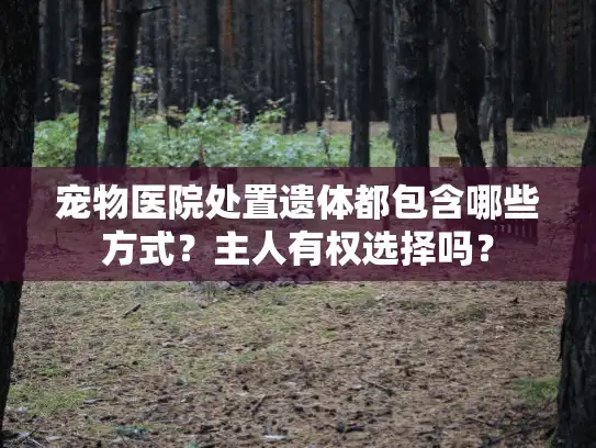 宠物医院处置遗体都包含哪些方式？主人有权选择吗？
