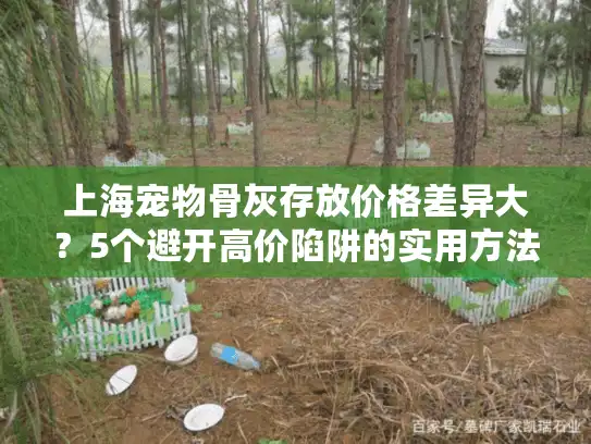 上海宠物骨灰存放价格差异大？5个避开高价陷阱的实用方法
