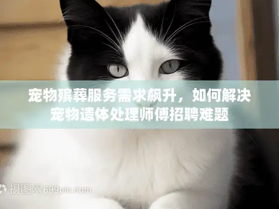 宠物殡葬服务需求飙升，如何解决宠物遗体处理师傅招聘难题