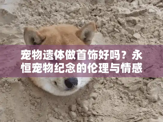 宠物遗体做首饰好吗？永恒宠物纪念的伦理与情感抉择