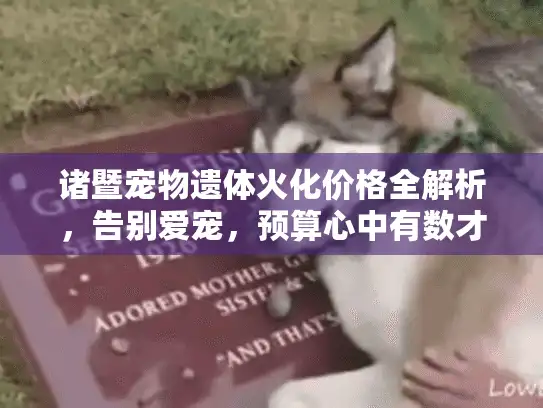 诸暨宠物遗体火化价格全解析，告别爱宠，预算心中有数才安心