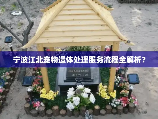 宁波江北宠物遗体处理服务流程全解析？