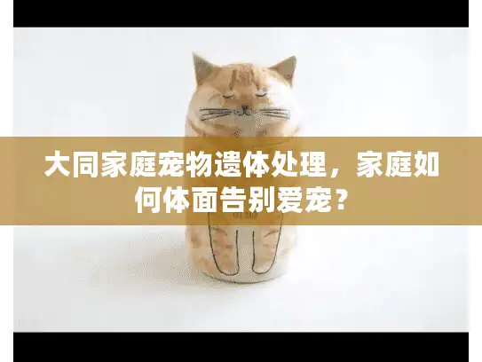 大同家庭宠物遗体处理，家庭如何体面告别爱宠？