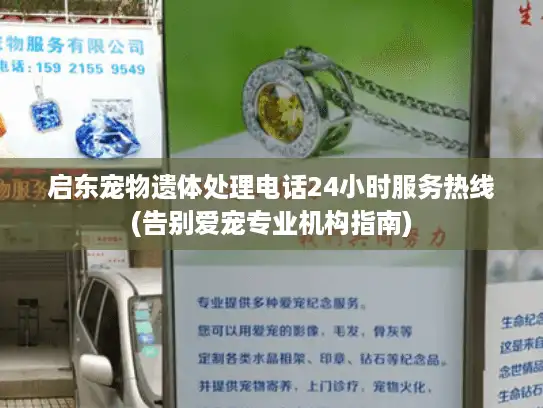 启东宠物遗体处理电话24小时服务热线(告别爱宠专业机构指南)