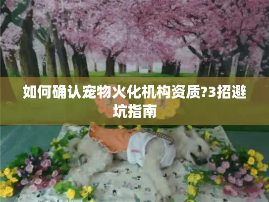 如何确认宠物火化机构资质?3招避坑指南