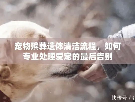 宠物殡葬遗体清洁流程，如何专业处理爱宠的最后告别