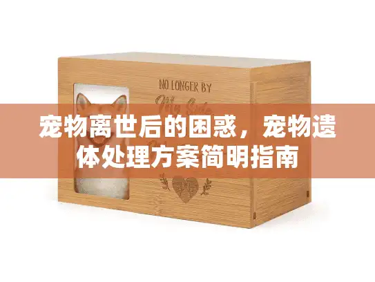 宠物离世后的困惑，宠物遗体处理方案简明指南