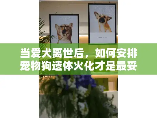 当爱犬离世后，如何安排宠物狗遗体火化才是最妥善的告别方式？