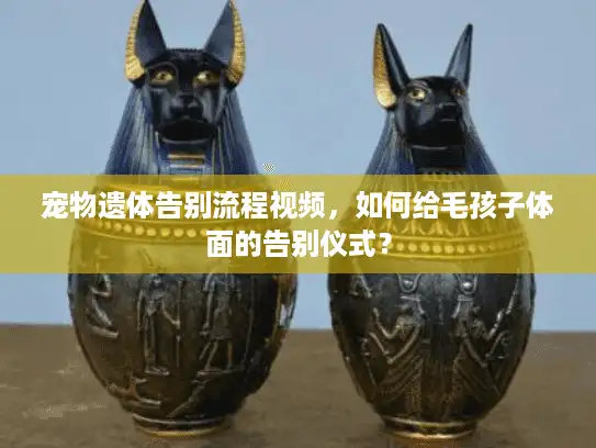 宠物遗体告别流程视频，如何给毛孩子体面的告别仪式？