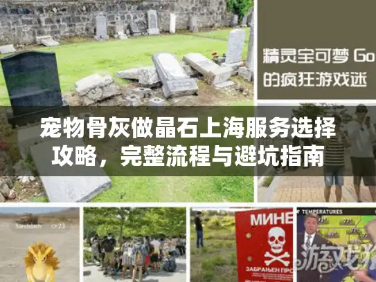 宠物骨灰做晶石上海服务选择攻略，完整流程与避坑指南