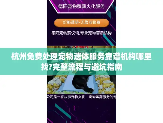 杭州免费处理宠物遗体服务靠谱机构哪里找?完整流程与避坑指南