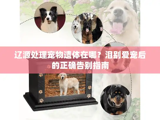 辽源处理宠物遗体在哪？泪别爱宠后的正确告别指南