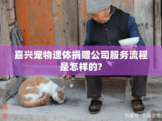 嘉兴宠物遗体捐赠公司服务流程是怎样的?