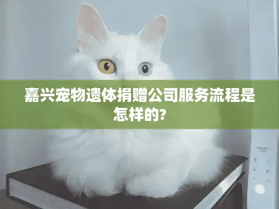 嘉兴宠物遗体捐赠公司服务流程是怎样的?
