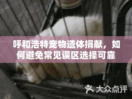 呼和浩特宠物遗体捐献，如何避免常见误区选择可靠服务？