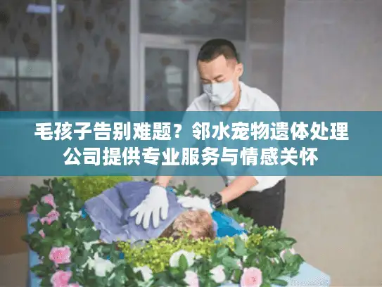毛孩子告别难题？邻水宠物遗体处理公司提供专业服务与情感关怀
