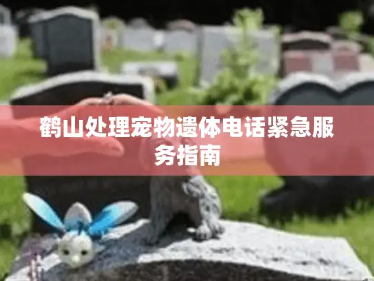 鹤山处理宠物遗体电话紧急服务指南
