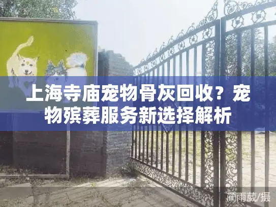 上海寺庙宠物骨灰回收？宠物殡葬服务新选择解析