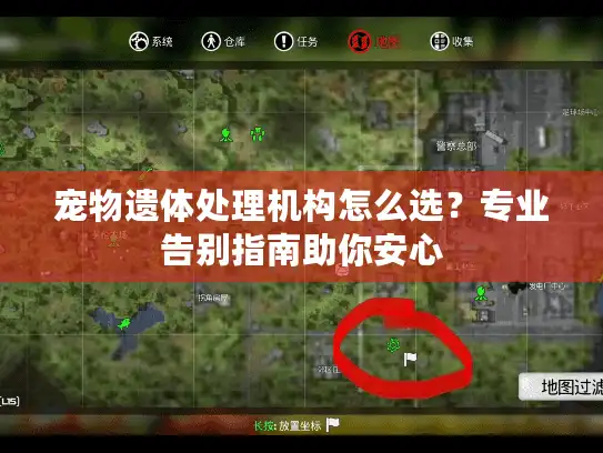 宠物遗体处理机构怎么选？专业告别指南助你安心