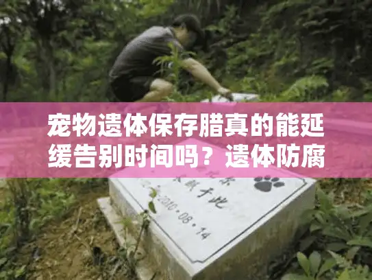 宠物遗体保存腊真的能延缓告别时间吗？遗体防腐处理全过程解析