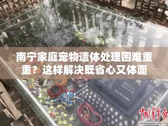 南宁家庭宠物遗体处理困难重重？这样解决既省心又体面