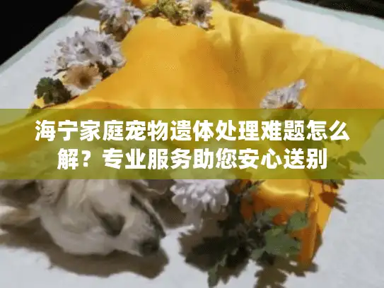 海宁家庭宠物遗体处理难题怎么解？专业服务助您安心送别