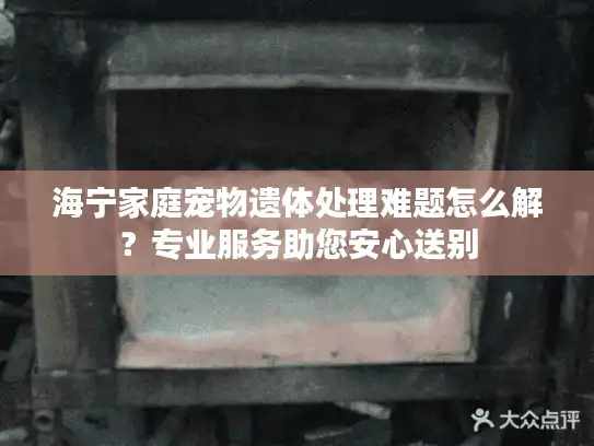 海宁家庭宠物遗体处理难题怎么解？专业服务助您安心送别