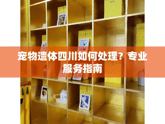 宠物遗体四川如何处理？专业服务指南