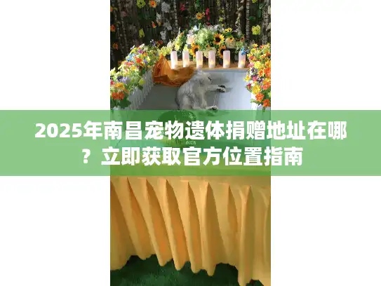 2025年南昌宠物遗体捐赠地址在哪？立即获取官方位置指南