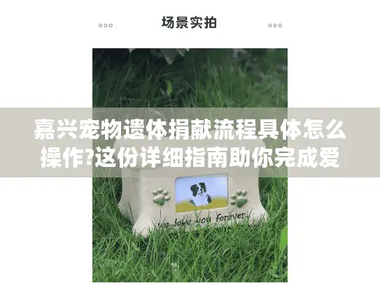 嘉兴宠物遗体捐献流程具体怎么操作?这份详细指南助你完成爱的传递