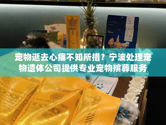 宠物逝去心痛不知所措？宁波处理宠物遗体公司提供专业宠物殡葬服务
