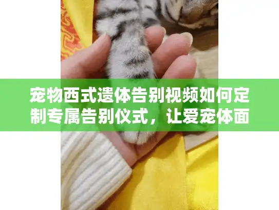 宠物西式遗体告别视频如何定制专属告别仪式，让爱宠体面离世？