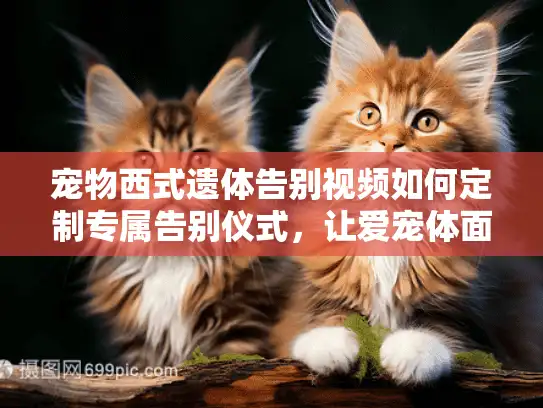 宠物西式遗体告别视频如何定制专属告别仪式，让爱宠体面离世？