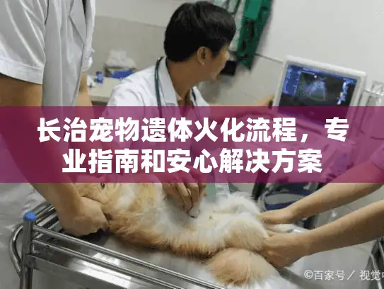 长治宠物遗体火化流程，专业指南和安心解决方案