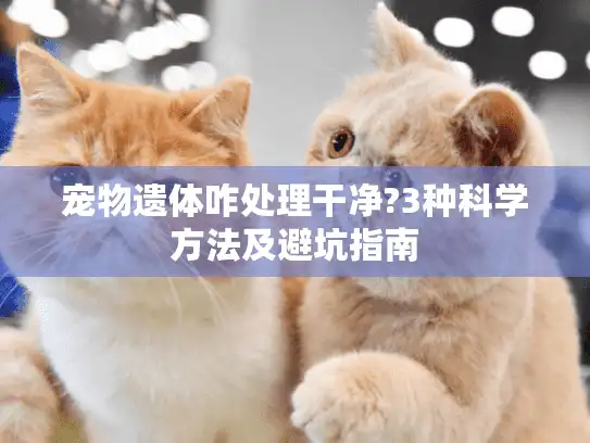 宠物遗体咋处理干净?3种科学方法及避坑指南