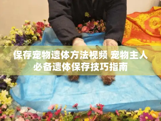 保存宠物遗体方法视频 宠物主人必备遗体保存技巧指南