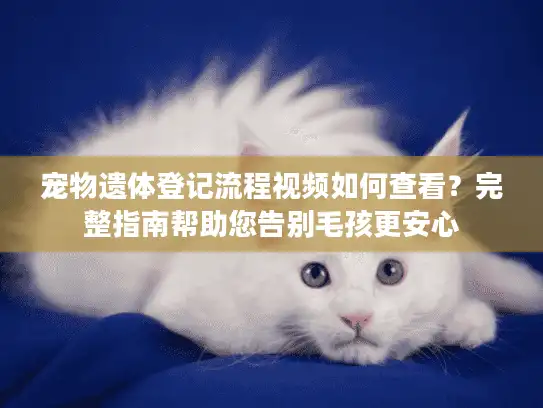 宠物遗体登记流程视频如何查看？完整指南帮助您告别毛孩更安心