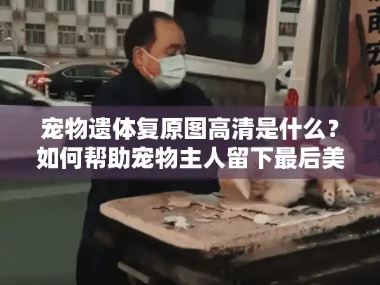 宠物遗体复原图高清是什么？如何帮助宠物主人留下最后美好纪念