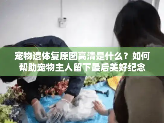 宠物遗体复原图高清是什么？如何帮助宠物主人留下最后美好纪念