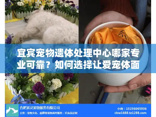 宜宾宠物遗体处理中心哪家专业可靠？如何选择让爱宠体面离开的机构