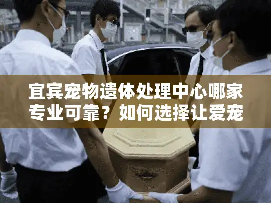 宜宾宠物遗体处理中心哪家专业可靠？如何选择让爱宠体面离开的机构