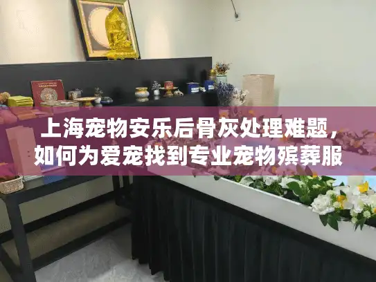 上海宠物安乐后骨灰处理难题，如何为爱宠找到专业宠物殡葬服务