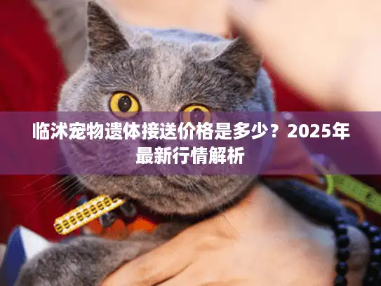 临沭宠物遗体接送价格是多少？2025年最新行情解析