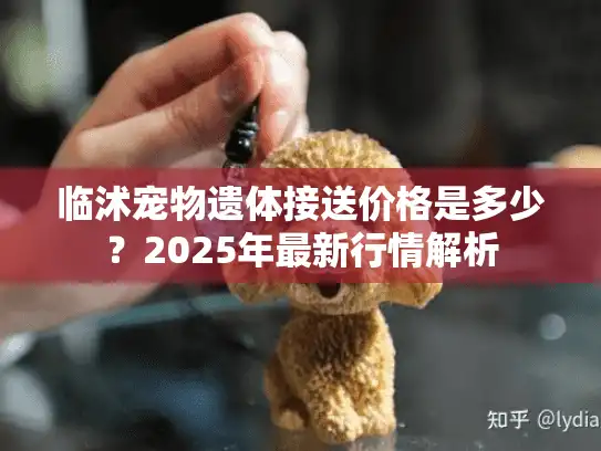 临沭宠物遗体接送价格是多少？2025年最新行情解析