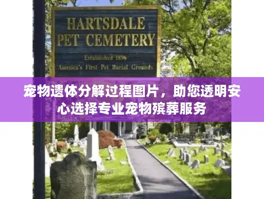 宠物遗体分解过程图片，助您透明安心选择专业宠物殡葬服务