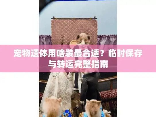 宠物遗体用啥装最合适？临时保存与转运完整指南