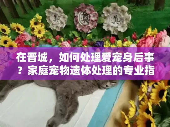 在晋城，如何处理爱宠身后事？家庭宠物遗体处理的专业指南