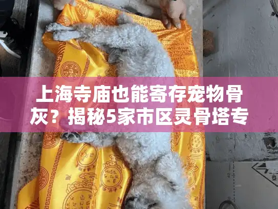 上海寺庙也能寄存宠物骨灰？揭秘5家市区灵骨塔专属服务